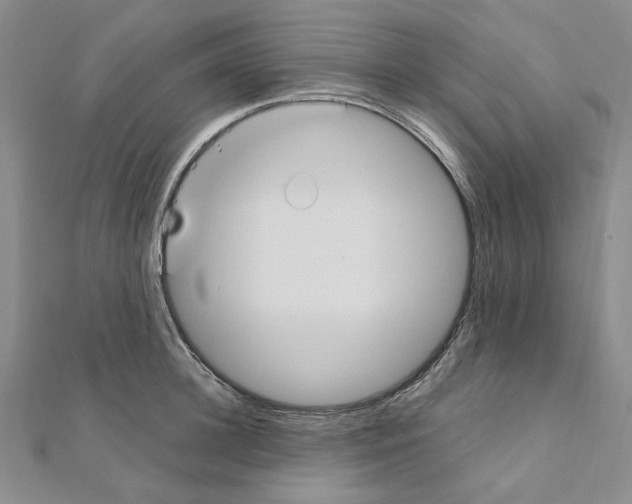 X0000110930948200907301621
