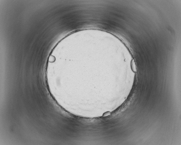 X0000110930949200907301621