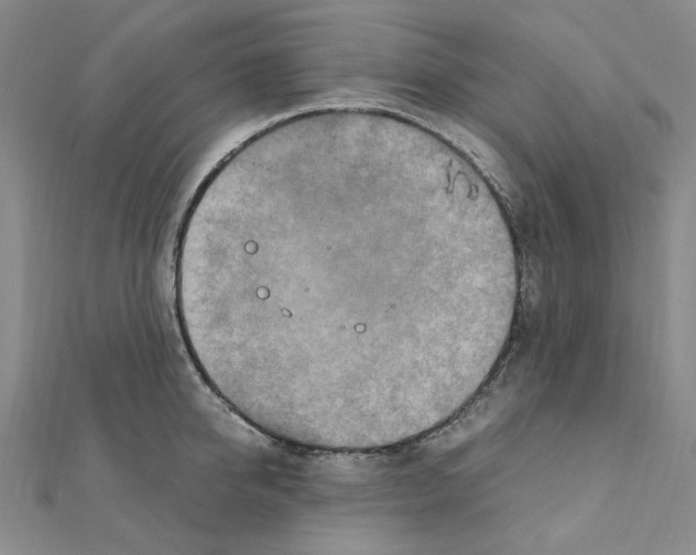 X0000110930950200907301621