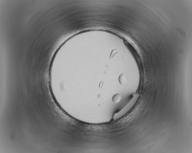 X0000110930951200907301621