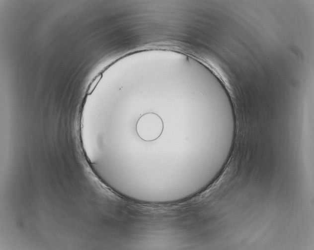 X0000110930952200907301621