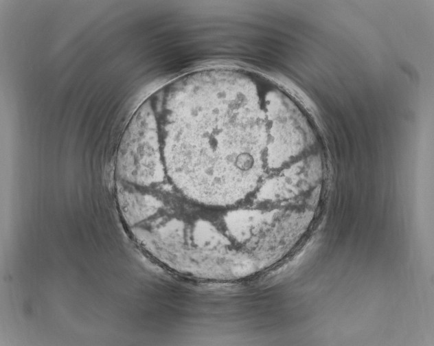 X0000110930953200907301621