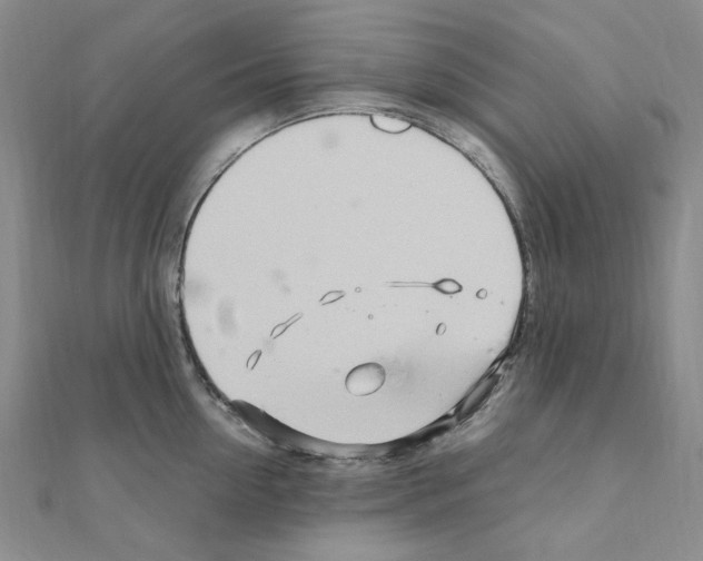 X0000110930954200907301621