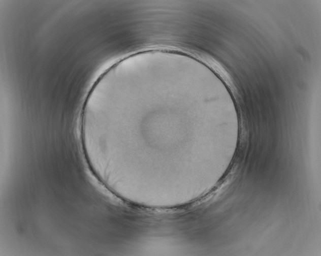X0000110930958200907301621