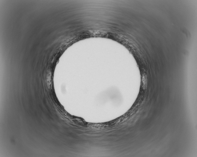 X0000110930963200907301620
