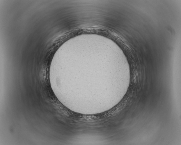 X0000110930966200907301620