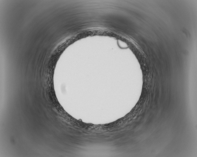 X0000110930967200907301620