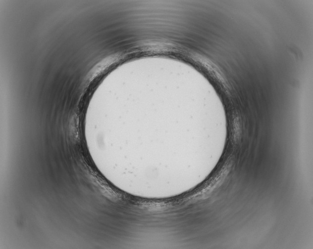 X0000110930970200907301620