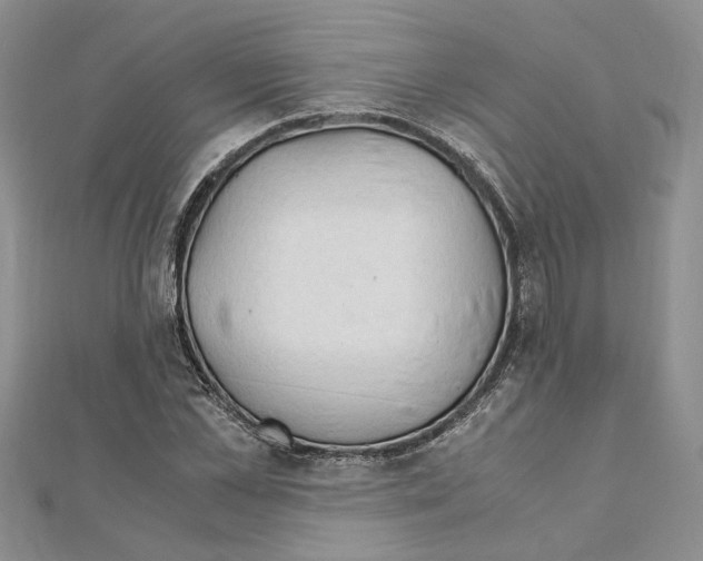 X0000110930973200907301620