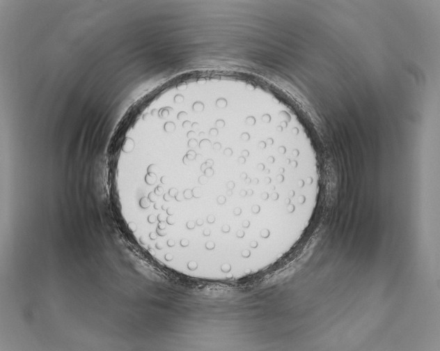 X0000110930974200907301620