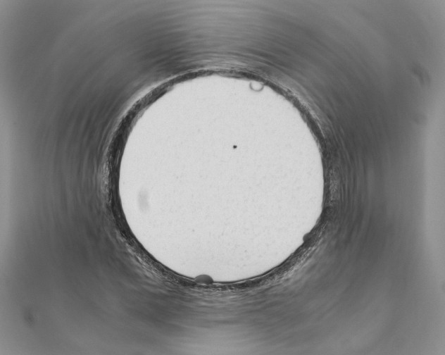 X0000110930975200907301620