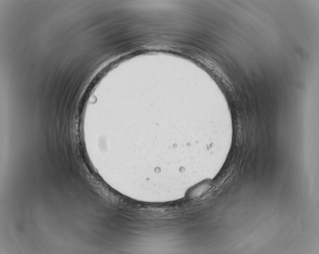X0000110930976200907301620