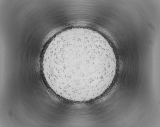 X0000110930978200907301620