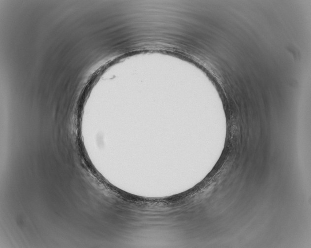 X0000110930979200907301620