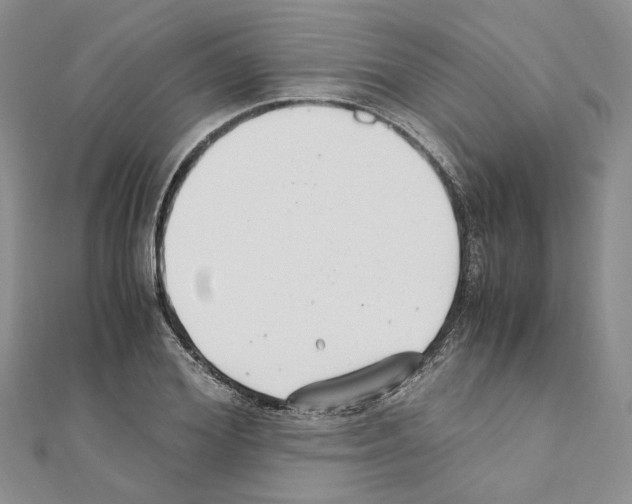 X0000110930980200907301620