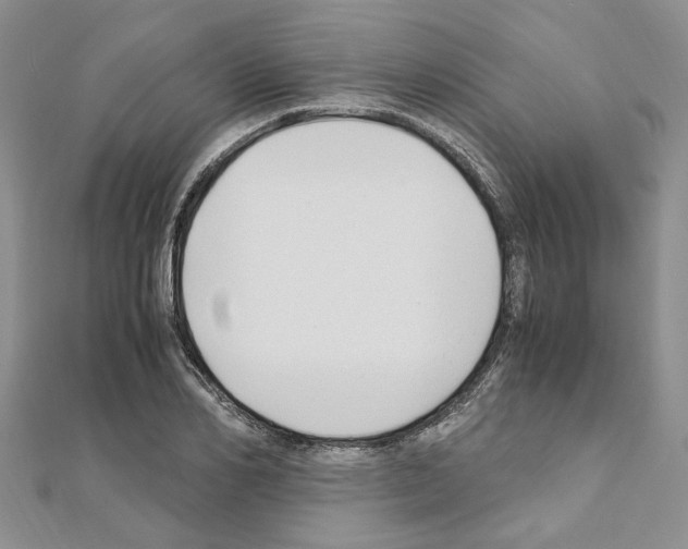 X0000110930982200907301620