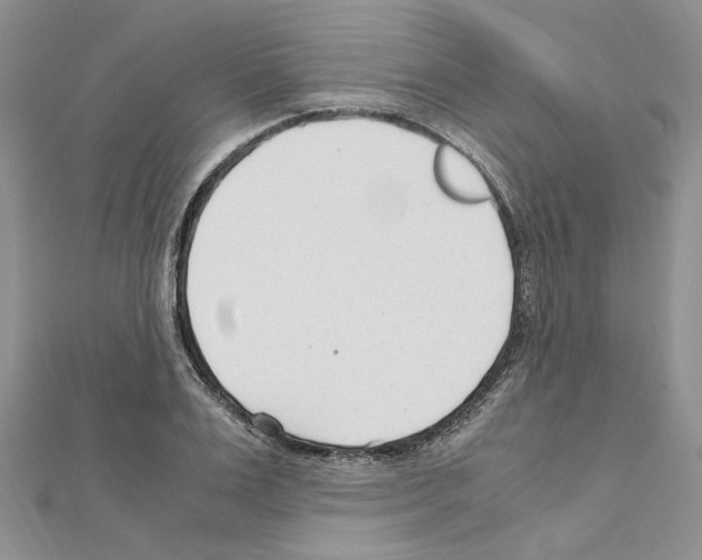 X0000110930983200907301620