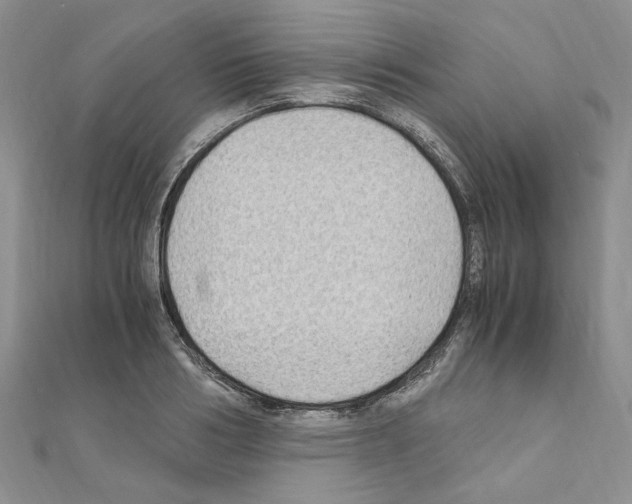 X0000110930986200907301620