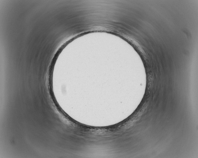 X0000110930991200907301620