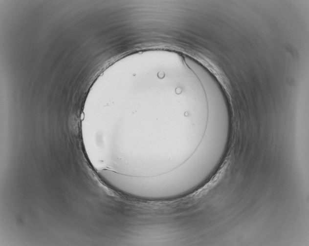X0000110930993200907301620