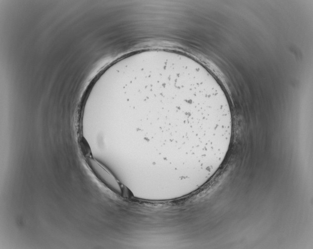 X0000110930997200907301620