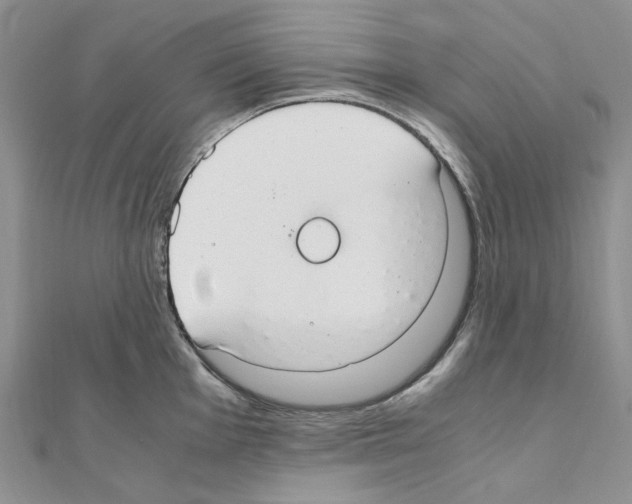 X0000110931001200907301620