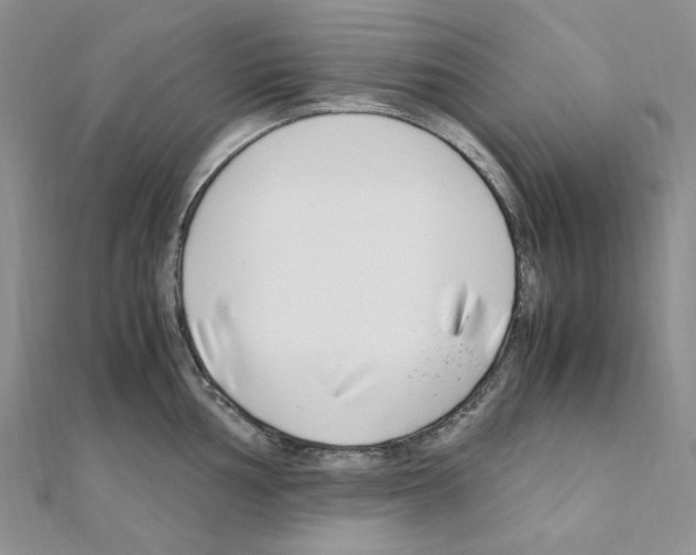 X0000110931002200907301620