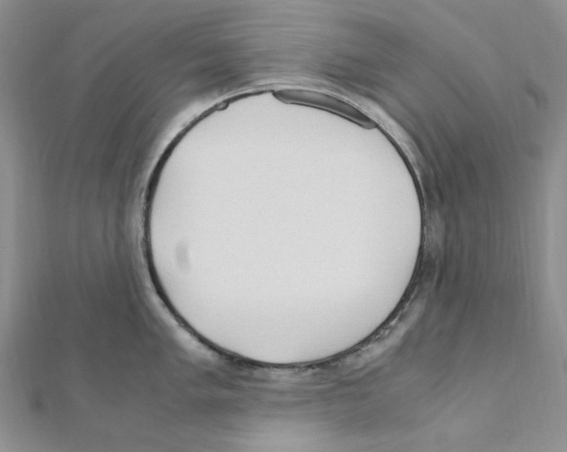 X0000110931005200907301619