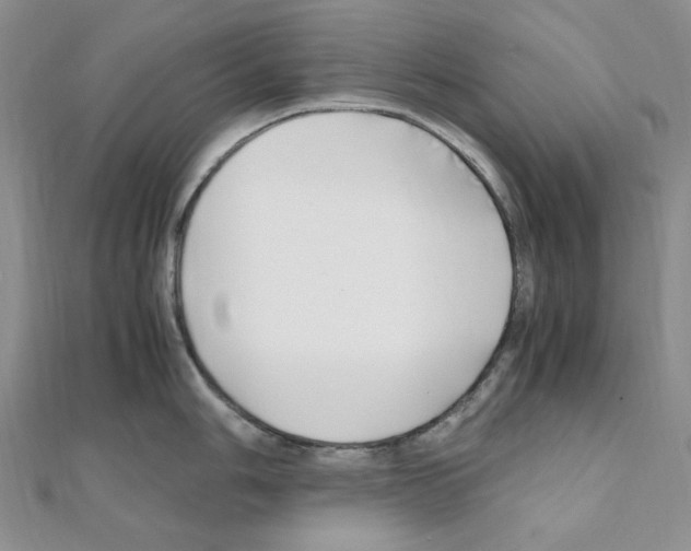 X0000110931006200907301619