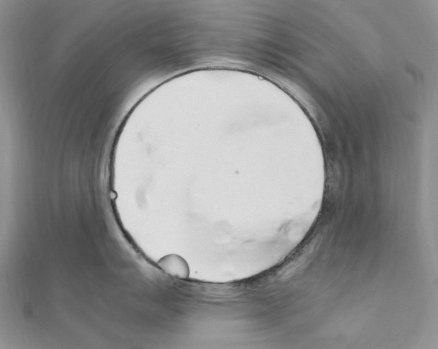 X0000110931007200907301619