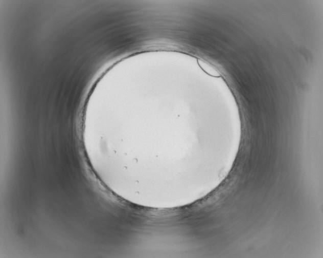 X0000110931008200907301619
