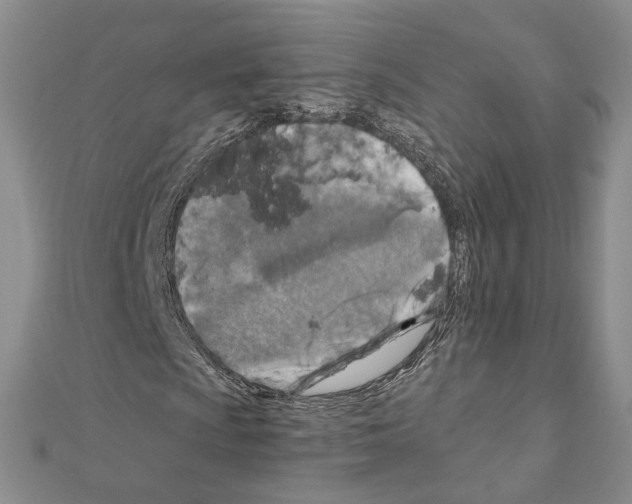 X0000110931009200907301619