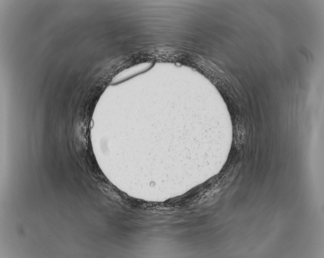 X0000110931010200907301619