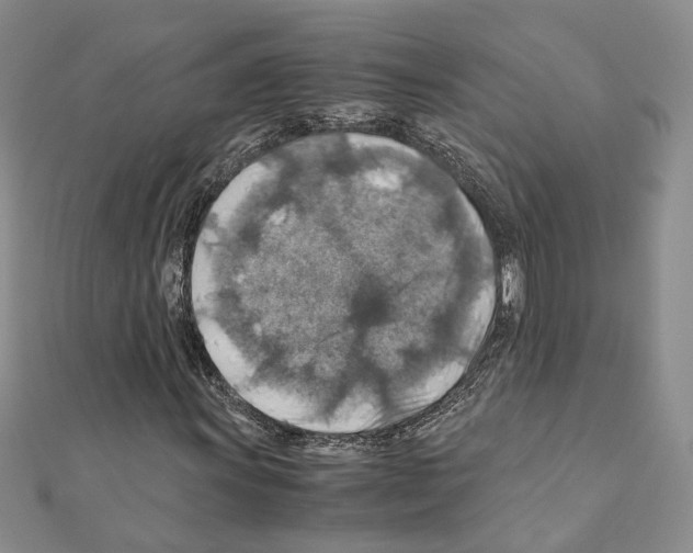 X0000110931011200907301619