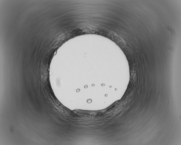 X0000110931012200907301619