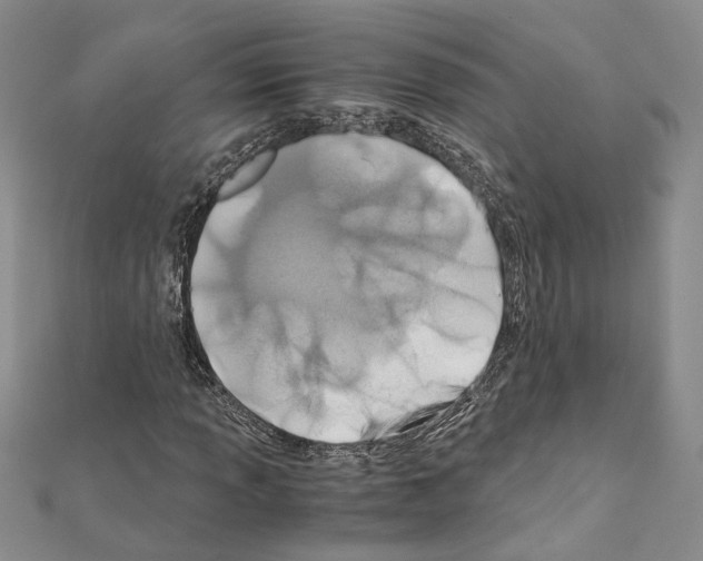 X0000110931013200907301619
