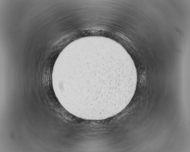 X0000110931014200907301619
