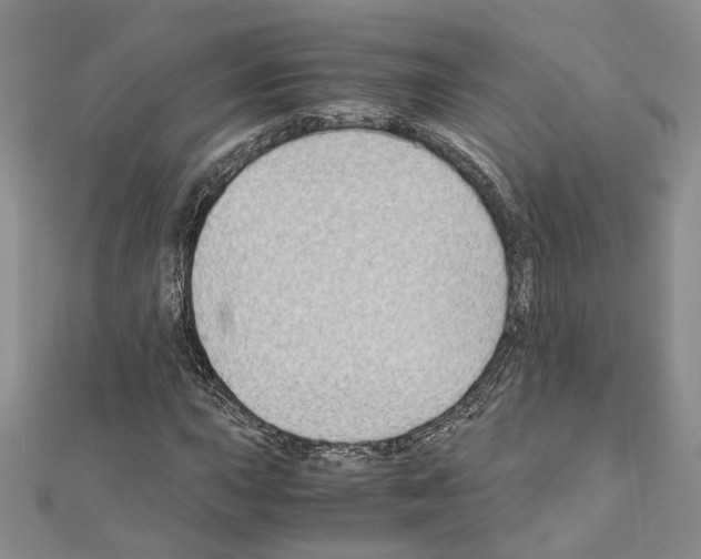 X0000110931015200907301619