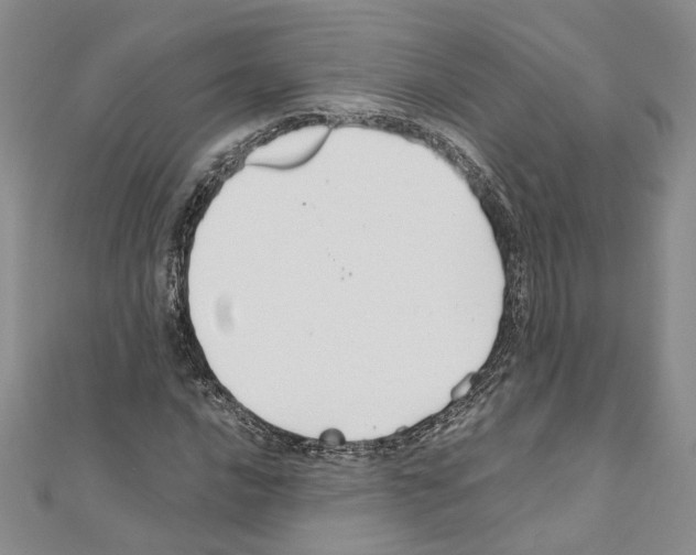 X0000110931016200907301619
