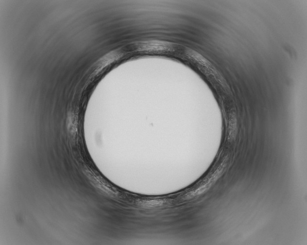 X0000110931017200907301619