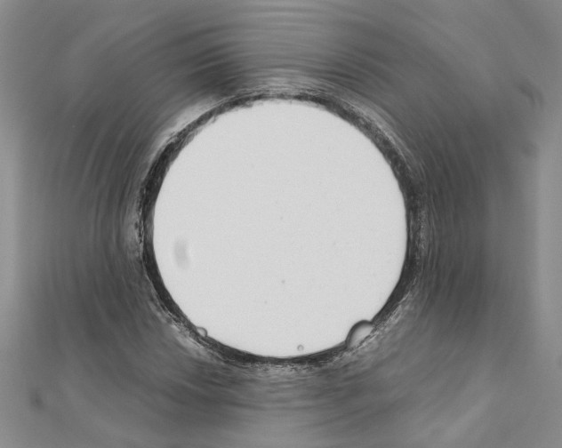 X0000110931018200907301619