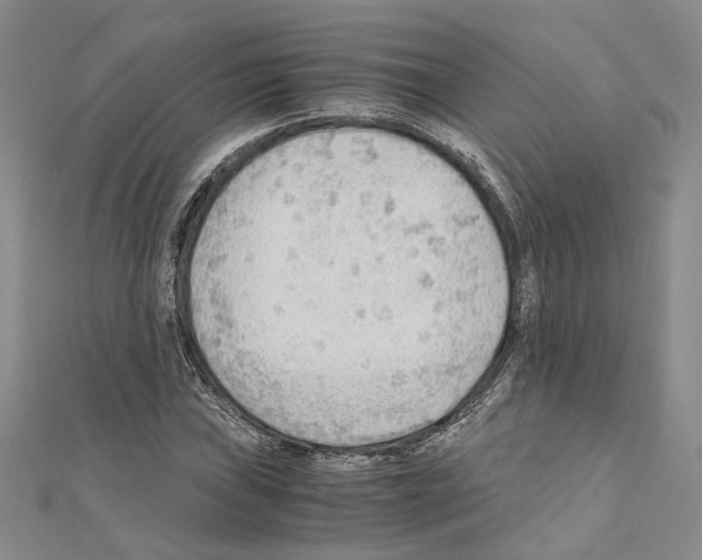 X0000110931019200907301619