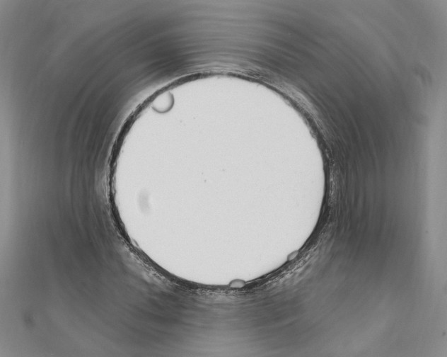 X0000110931020200907301619