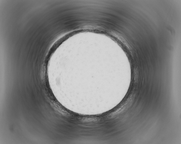 X0000110931021200907301619