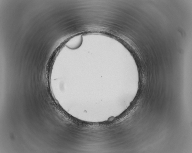 X0000110931022200907301619