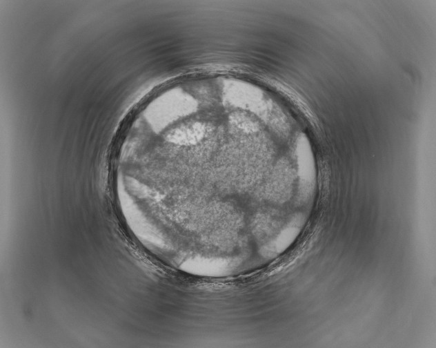 X0000110931023200907301619