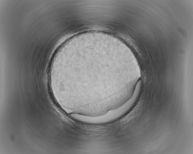 X0000110931024200907301619