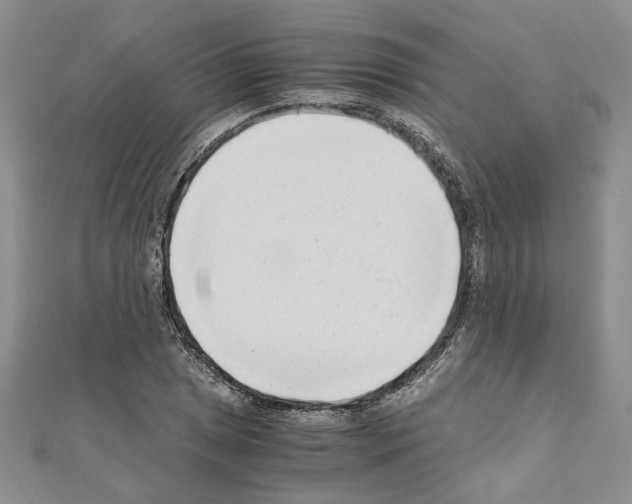 X0000110931025200907301619