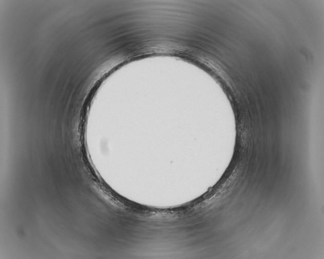 X0000110931026200907301619