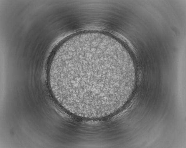 X0000110931027200907301619